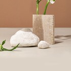  Pipe Reed Guan Zi Mouthpiece Reeds Chinese Wind Instrument Parts