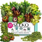 Artificial Succulents 28 Pack Realistic Faux Fake Plants For Indoor Outdoor Diy