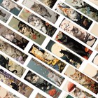 30pcs Japanese Cat Meme Animal Bookmarks Cartoon Cute Reading Pages Book Marking