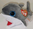 Ty Beanie Boos 2025 - Finnegan The Shark  6 Inch  New Mwmts Stuffed Animal Toy
