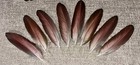 8 Vibrant Turquoise   Blue  Red On Back  Macaw Feathers   8    To 8 5     2    Wide