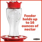  pack Of 2  Pennington Glass Hummingbird Feeder  16 Oz Nectar Capacity