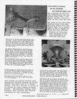 Carroll Saddle Co  Mcneal  Az  1971 Spiral Catalog Reprint