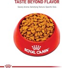 Royal Canin Feline Health Nutrition Indoor Adult Dry Cat Food     15 Lb