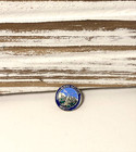 Vintage Glacier Waterton Hamfest International Peace Souvenir Lapel Pin Montana