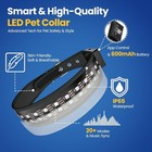 Led Dog Collar App Controlled Large  Light Up Night Safety Collar