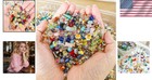 Unique Glass Bead Set - Half Pound Of Colorful 2-16mm Beads For Crafts   Jewelry