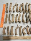 33 Excellent Dried Pumpkin Stems 3    To 5    Tall For Crafts  Velvet Pumpkins