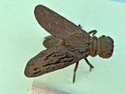 Antique Cast Iron Garden  Horse Fly  Bug Insect Flower Insects Fine Detailed Old