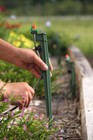 Mister Landscaper Drip Irrigation Micro Stake Assembly Green Mls-211  2 Pack 