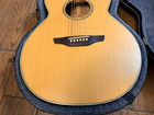 Takamine G-40 Classical Guitar With Hard Case Used