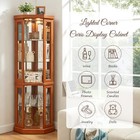Light Corner Curio Display Cabinet Adjustable Glass Display Case For Living Room