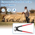 10 Inches Hoof Nipper  Farrier Tool Hoof Trimmers Goat Hoof Trimming Shears N   