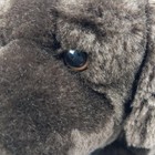 Toys R Us Animal Alley Labrador Plush Dog Chocolate Brown Realistic Stuffed 17 
