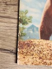 Authentic Original 1961 Bear Archery Equipment Catalog