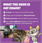 Cat Crack Catnip  Zoomieinducing Cat Nip Blend  North American Made   100  N   