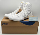 Asics Ex-eo Wrestling Boxing Shoes 1083a001 Twr900 New Model White Silver 4 5-13