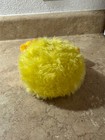 Neopets Yellow Jubjub 6  Limited Too New