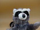 Aurora Raccoon Hand Puppet Stuffed Animal Plush 14 