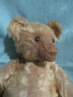Two  Very Old  Steiff Teddy   No  Button