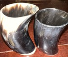 Set Of 2 Natural Medieval Viking Dining Ram Horn Drinking Cup Memento Mori Skull