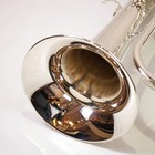 Yamaha Yfh-631gs Flugelhorn  449941 