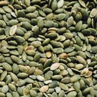 Raw Natural Pumpkin Seeds 4 Lb - Unsalted  Fresh   Healthy Superfood Pack