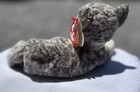 Rare Retired Ty Beanie Baby Purr The Cat 2000 Mint P e  Pellets With Errors