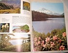 Vintage 1962 Seattle World   s Fair Western Wild Flowers By Richfield Oil Corp 