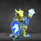 Lego Dragonborn Paladin Dungeons   Dragons Collectible Minifigure Series 71047 