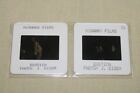 Exotica - 2 Press Kit Slides Bruce Greenwood Mia Kirshner Elias Koteas A Egoyan