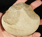 Big  2 9 To 1 7 Million Year Old Paleolithic Age Oldowan Pebble Chopper 555gr