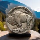 1937-d Buffalo Nickel Full Date Fast Free Shipping With Tracking