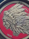 Iroquois Beer Ale Metal Round Tray Vtg 13  Indian Head 1842  Brown Red    Liner
