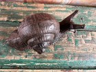 Antique Cast Iron Snail     Garden Decoration Or Paperweight     19th Century