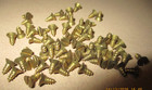 70-tiny-vintage Solid Brass Wood Screws With Flat Slot Heads  1 4  X  4 9 64 