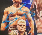 Cody Rhodes Signed 11x14 Photo Wwe Jsa 