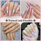 Stiletto Nails Tips Gel X Half Matte Stiletto Gel X Nail Tips Long Stiletto