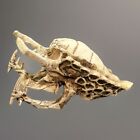 Skull Sculpture Alien Vs Predator Resin Movie Collection Hard To Find