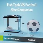 Betta Fish Tank 4 Gallon Self Cleaning Aquarium Kit W  Led Plant Light Filter Us