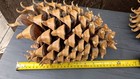 Xxl 10   12    Coulter Pine Cone    widow Maker    Giant Natural Rustic Decor California