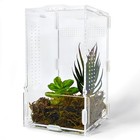 Jumping Spider Enclosure  Arboreal Tarantula Enclosure  Praying Mantis Small