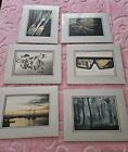 Lot Of 6 Hand Signed Martin Groffman Photographs  Double Matted Orig Wrap New