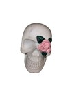 Skull Skeleton Head W  Flower White Figurine Halloween Fun