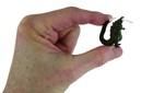 Worlds Smallest Shin Godzilla King Of The Monsters Figure Atomic Heat Ray