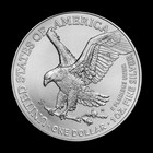 2024 1 Oz  999 Fine Silver American Eagle  1 Bu Coin From Mint Roll