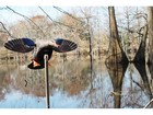 Mojo Elite Series Mini Mallard Hen Motion Duck Decoy