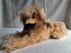 Vintage 1950s Steiff Dog Afghan Hound Lying Mohair Germany 16  Long Nice