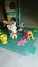 Horse Dog Cat- Authentic Littlest Pet Shop Hasbro Bundle Lot Of Lps Accessories