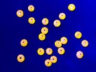 Orange Cadmium Glass Beads Faceted Rondelles 3 5x4mm 20pcs